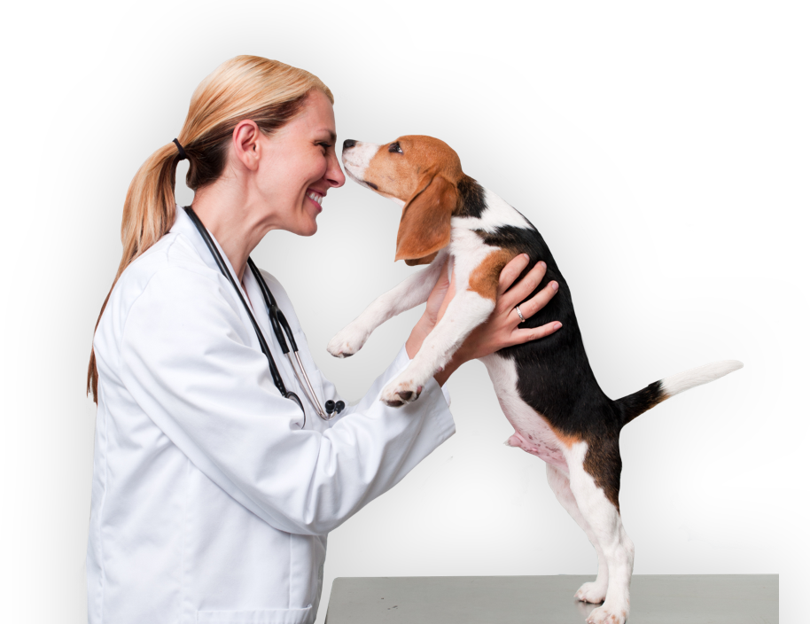 png of a vet affectionately holding a young beagle