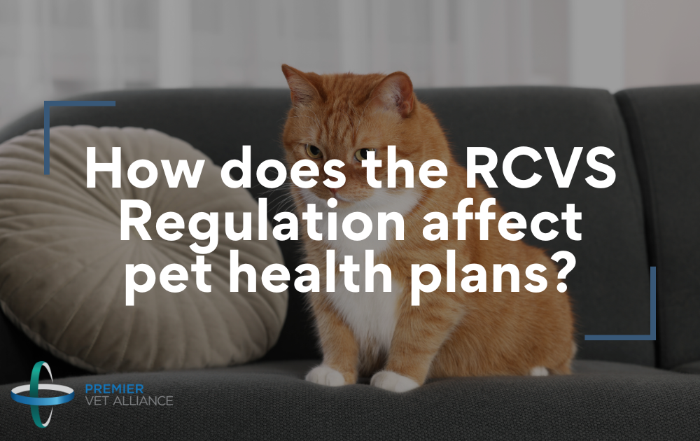 rcvs regulation blog cover image