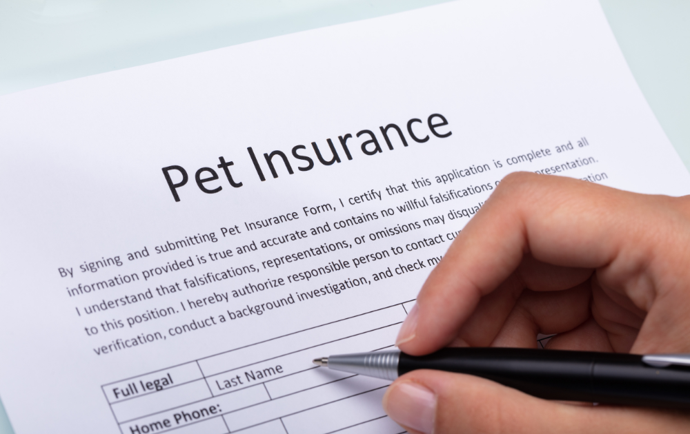 pet insurance vs pet health plans