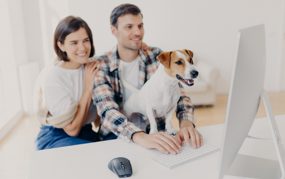 using video consultation to make pet health plan relevant