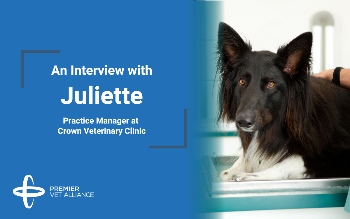 crown veterinary clinic interview